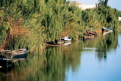 parco naturale albufera valencia