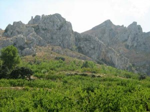 IMG_2184001