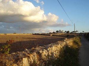 XZF-DSC01381