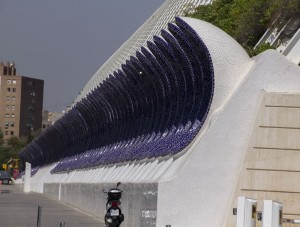 umbracle_ciudad_artes_ciencias_valencia_10