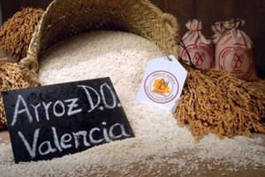 dovalencia