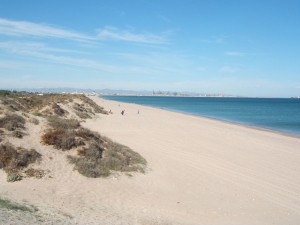 saler-large-1