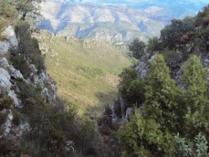 Vista Circo Safor 1