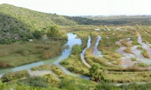 luviasg