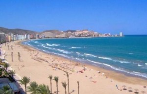 cullera