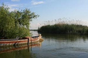 albufera-valencia-me2