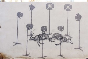 maltrato-animal