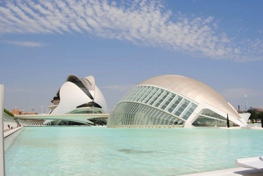 Cosa fare a Valencia ad Agosto: le attività proposte dall'Oceanogràfic