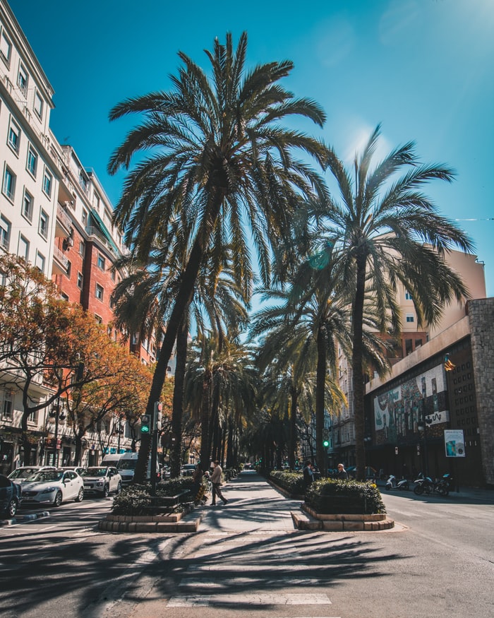 Valencia città  accessibile: l'importanza di rendere una città  accessibile a tutti